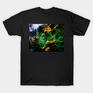 Plants in the park. T-Shirt